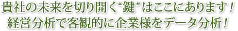 貴社の未来を切り開く鍵はここにあります！！経営分析で客観的に企業様をデータ分析！