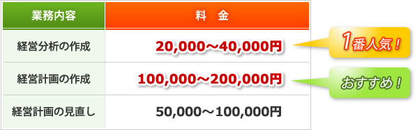 経営分析・診断計画の作成表